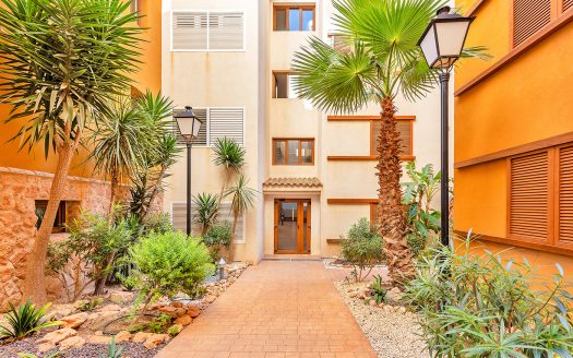 Appartement – Punta Prima – Ref:67491