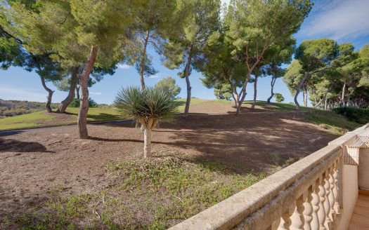 Appartement – Campoamor – Ref:72116