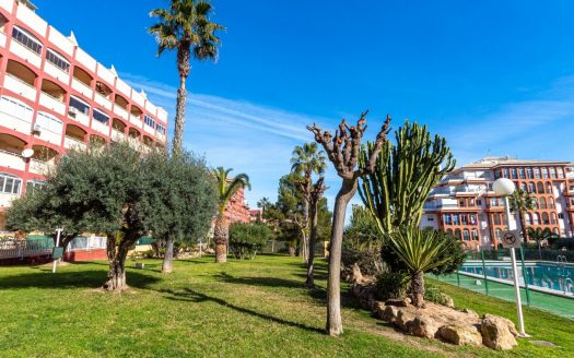 Appartement – Torrevieja – Ref:73648
