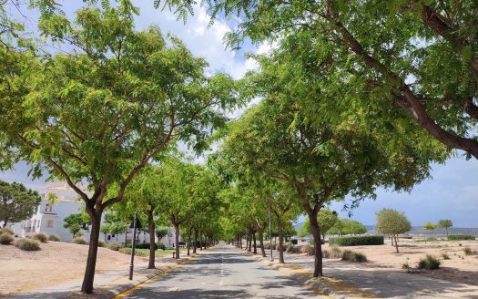 Appartement – Sucina – Ref:74988