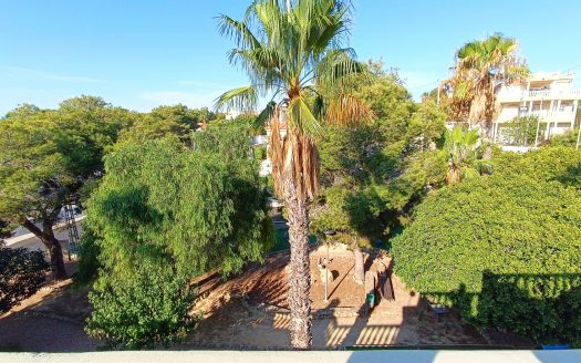 Penthouse – Algorfa – Ref:77519