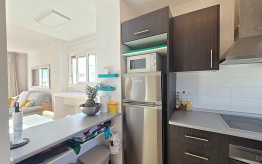 Penthouse – Roldan – Ref:77697