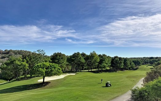 Appartement – Campoamor – Ref:79117