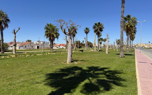 Appartement -Torrevieja – Ref:81002